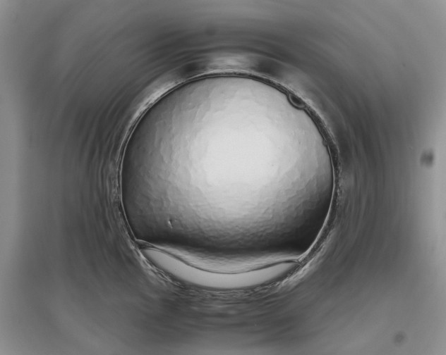 X0000097301145200802291808