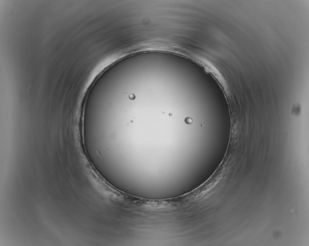 X0000097301146200802291808