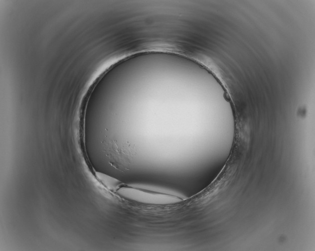 X0000097301147200802291808