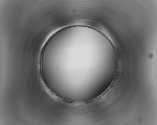 X0000097301148200802291808