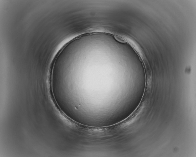 X0000097301149200802291808