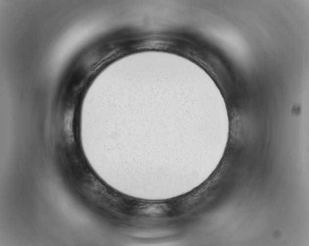 X0000097301150200802291808