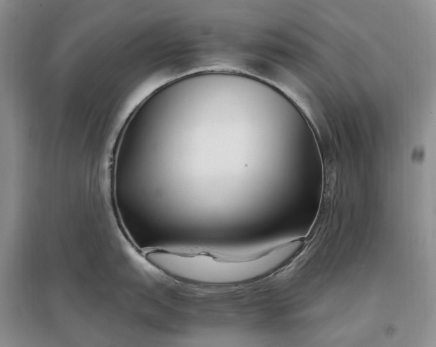 X0000097301151200802291808