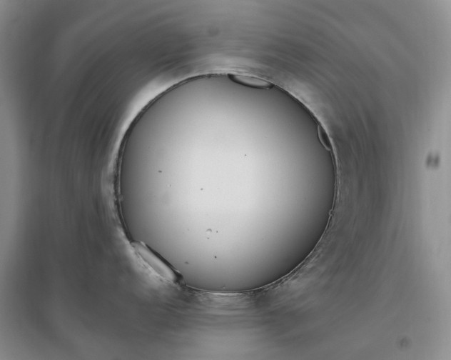 X0000097301152200802291808