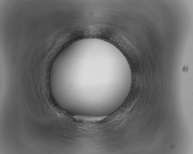 X0000097301153200802291807