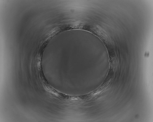 X0000097301154200802291807