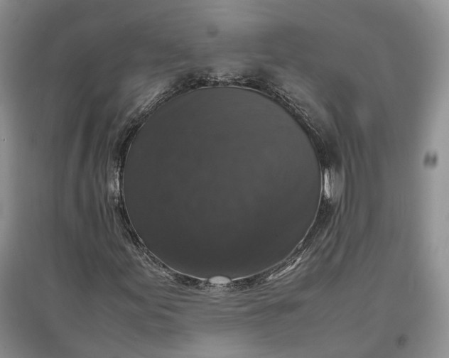 X0000097301155200802291807