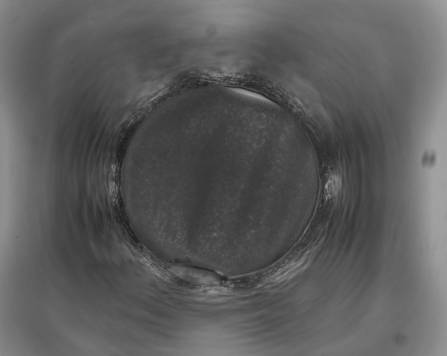 X0000097301156200802291807