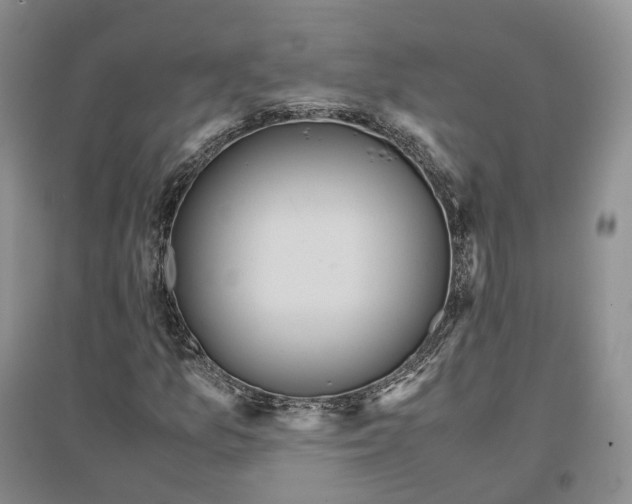 X0000097301157200802291807