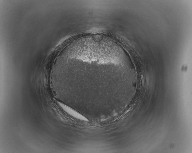 X0000097301158200802291807