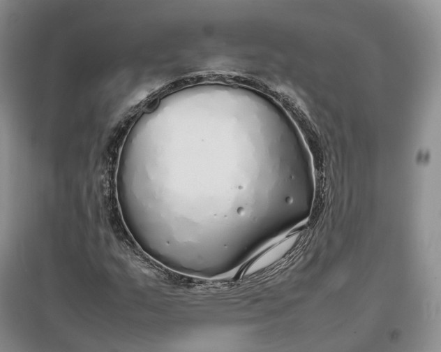 X0000097301159200802291807