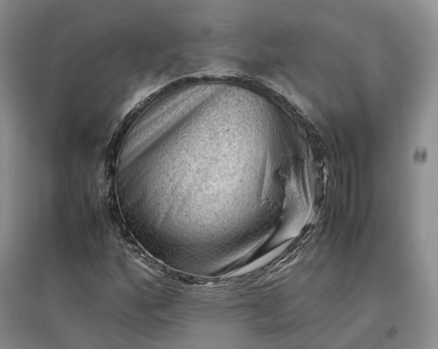 X0000097301160200802291807