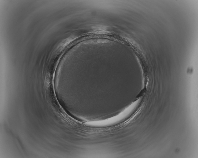 X0000097301161200802291807