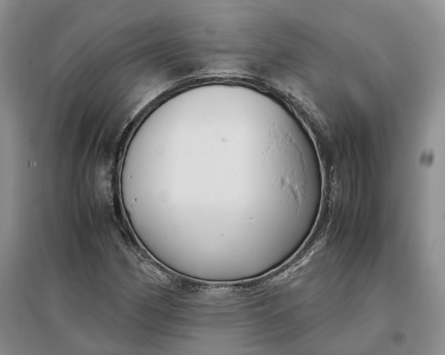 X0000097301162200802291807