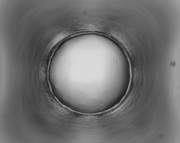 X0000097301163200802291807