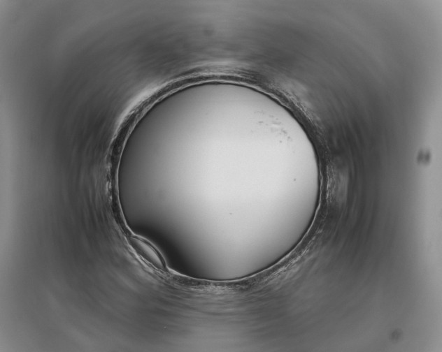 X0000097301164200802291807