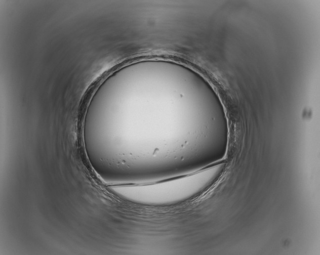 X0000097301165200802291807