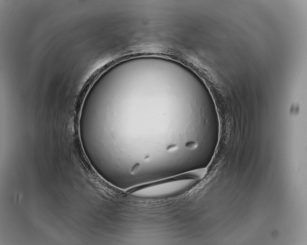 X0000097301166200802291807