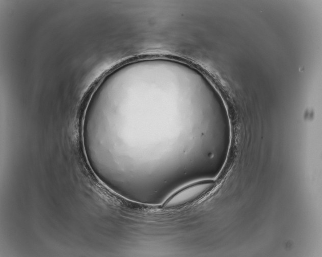 X0000097301167200802291807