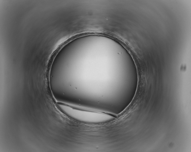 X0000097301168200802291807