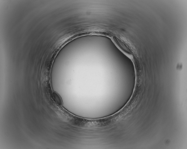 X0000097301169200802291807