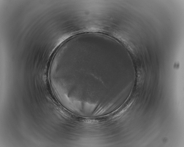 X0000097301170200802291807