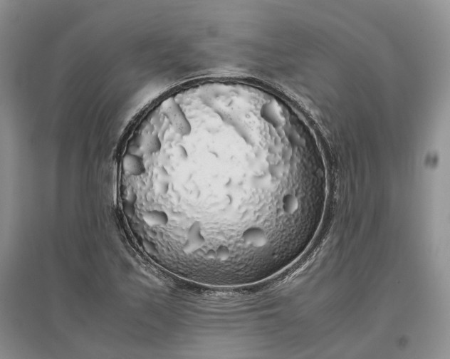 X0000097301171200802291807