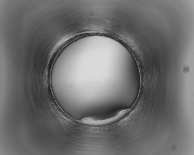 X0000097301172200802291807