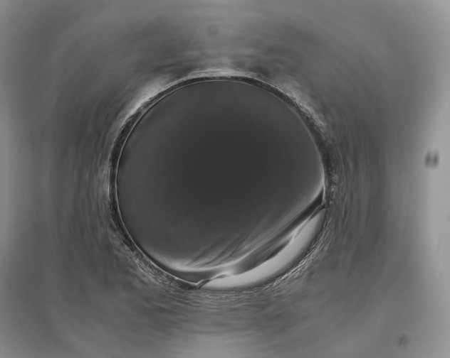 X0000097301173200802291807