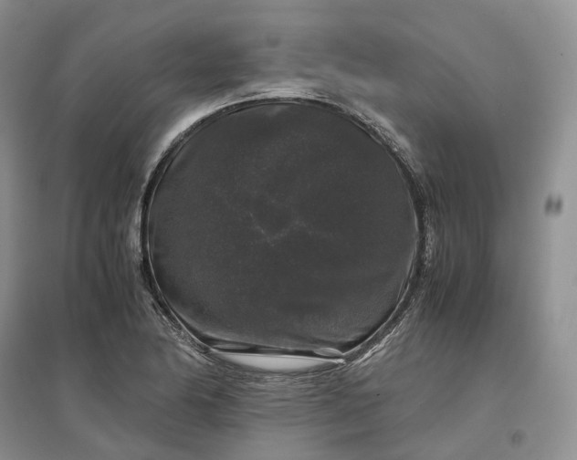 X0000097301174200802291807