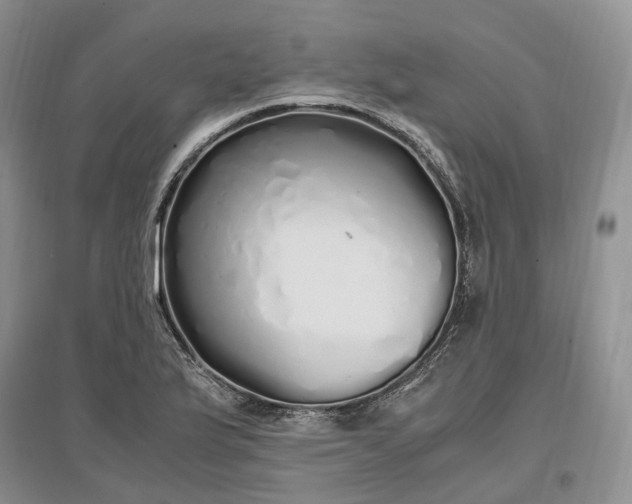 X0000097301175200802291807