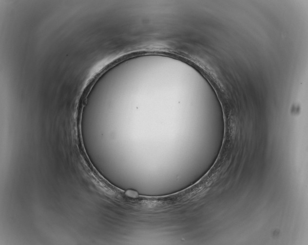 X0000097301176200802291807