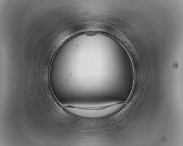 X0000097301177200802291807