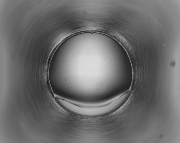 X0000097301178200802291807