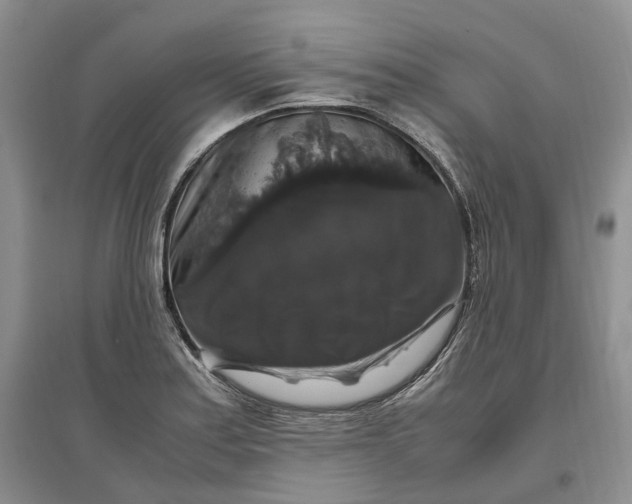 X0000097301179200802291807