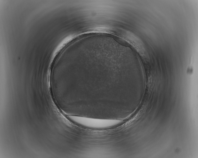 X0000097301180200802291807