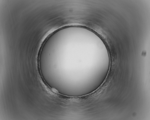 X0000097301181200802291807