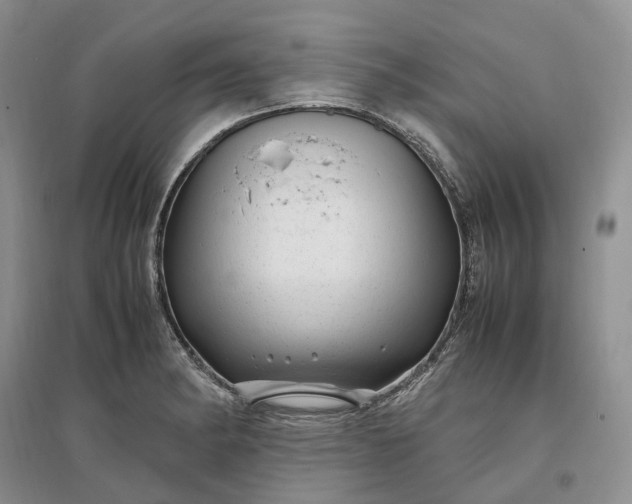 X0000097301182200802291807