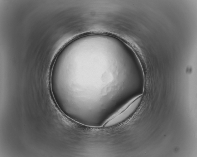 X0000097301183200802291807