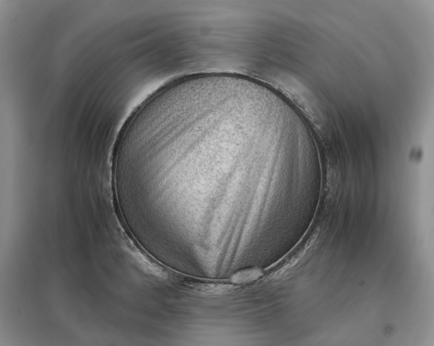 X0000097301184200802291807