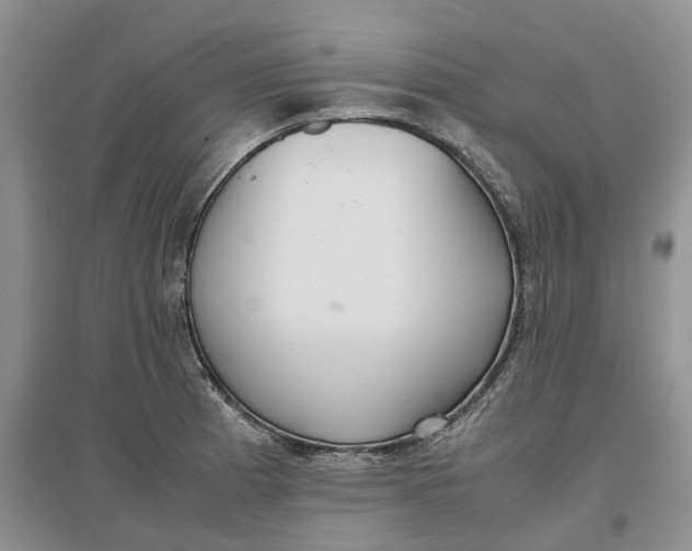 X0000097301185200802291807