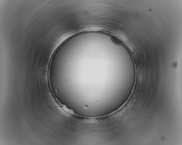 X0000097301186200802291807