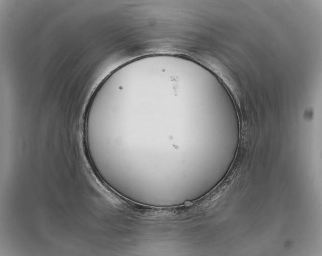 X0000097301187200802291807