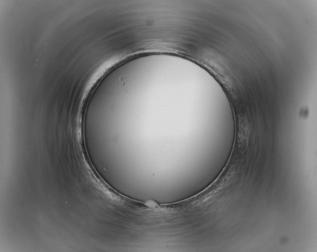 X0000097301188200802291807