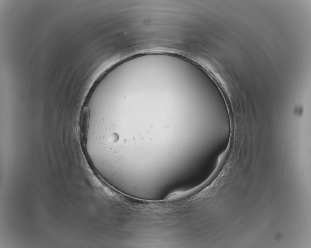 X0000097301189200802291807