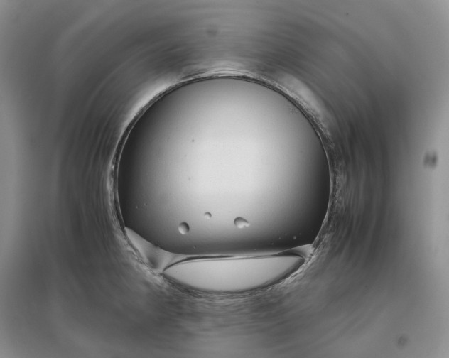 X0000097301190200802291807