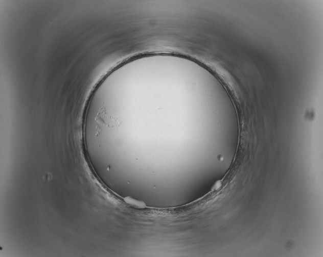 X0000097301191200802291807