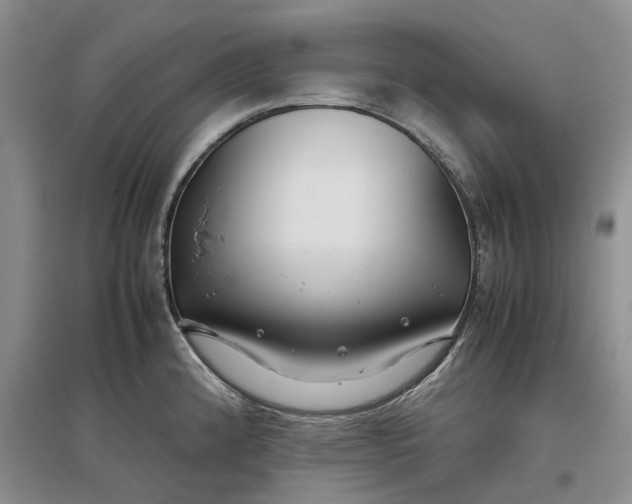 X0000097301192200802291807