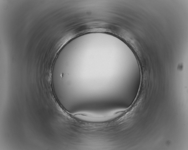 X0000097301193200802291807