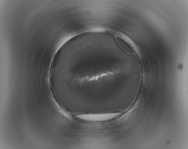 X0000097301194200802291807